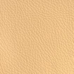 Экокожа бежевая 668