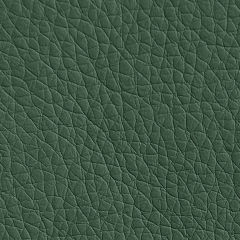 ЭКО-01 темно-зеленый