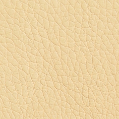 Экокожа Terra 104 бежевый