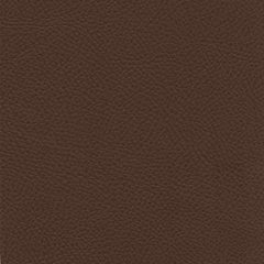 кож.зам коричневый 760
