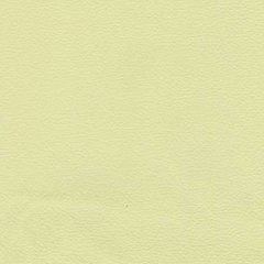 кожа 1010-Y20R бежевая